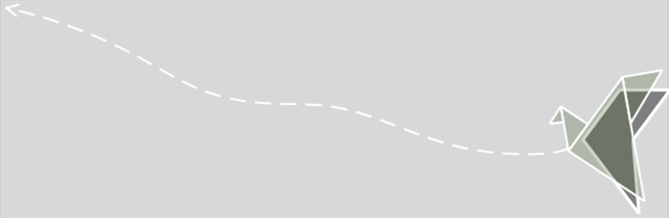 Pathways for Housing Adaptations